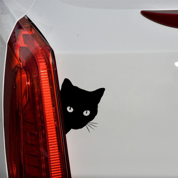 Cool Peering Cat Face Car Decal