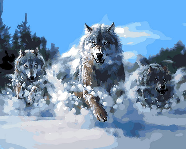 Stunning Snow Wolf DIY Canvas Painting